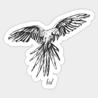 Bird t-shirt design Sticker